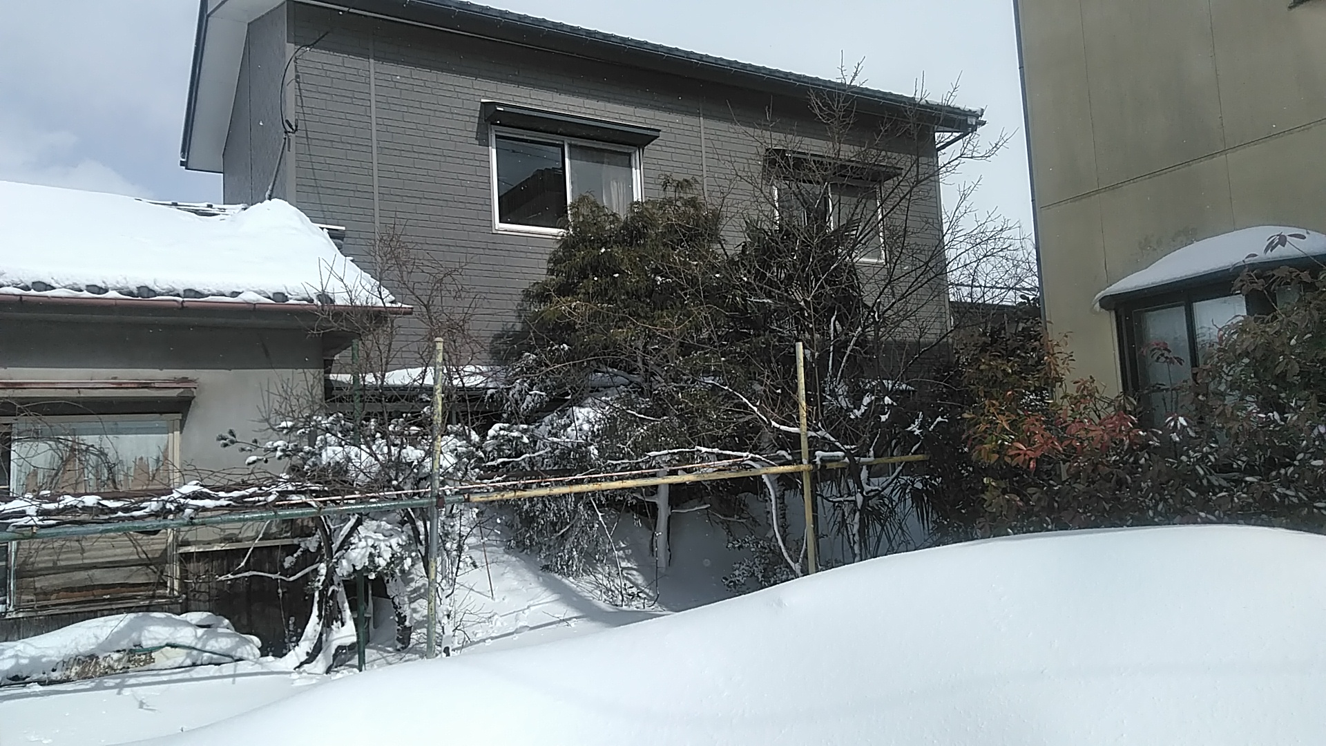 我が家　今年は雪に埋まってます