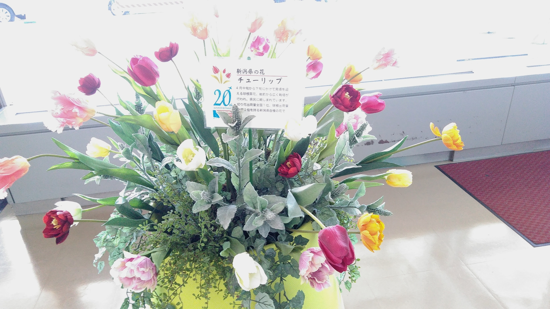 新潟県の花